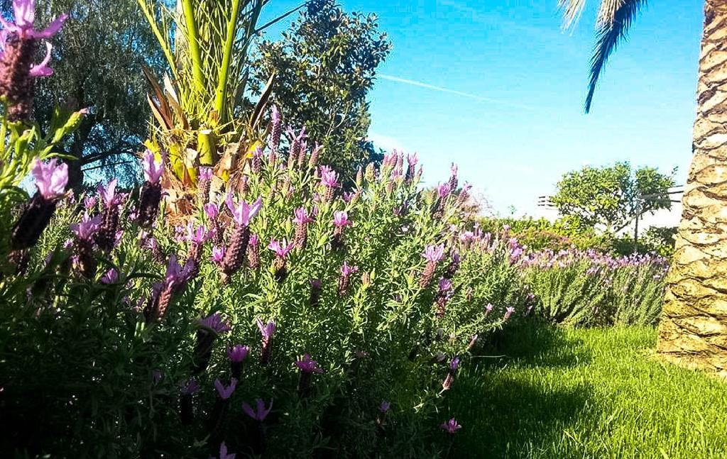 Agriturismo Masseria Calongo Cisternino Buitenkant foto