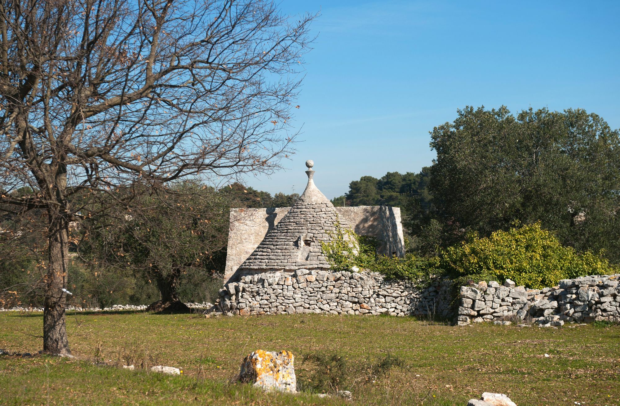 Agriturismo Masseria Calongo Cisternino Buitenkant foto